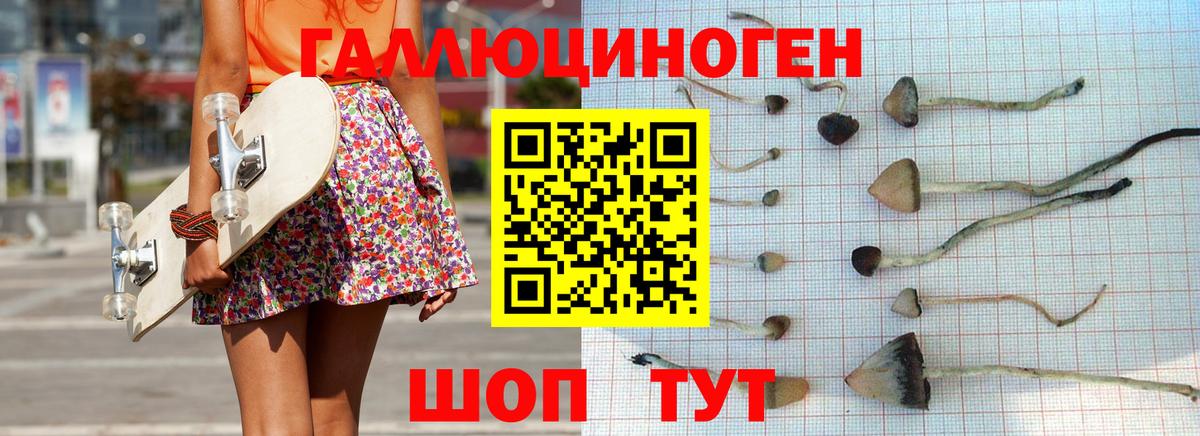 Псилоцибиновые грибы MAGIC MUSHROOMS Углич